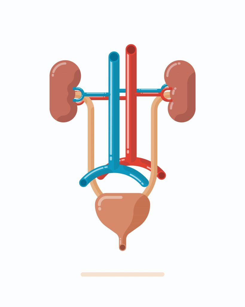 Urology