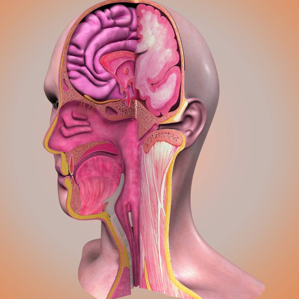 Head & Neck