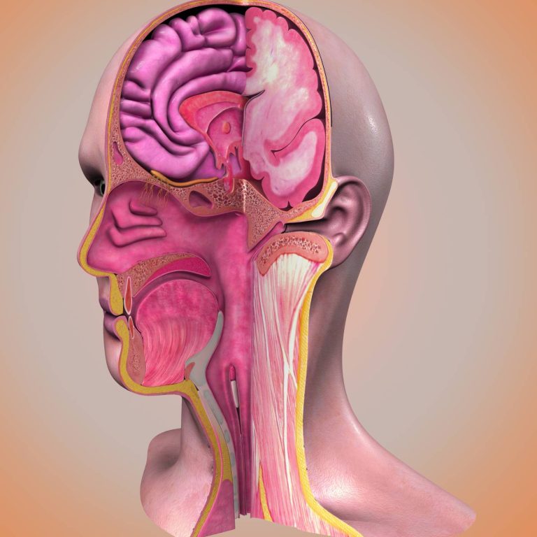 Head & Neck